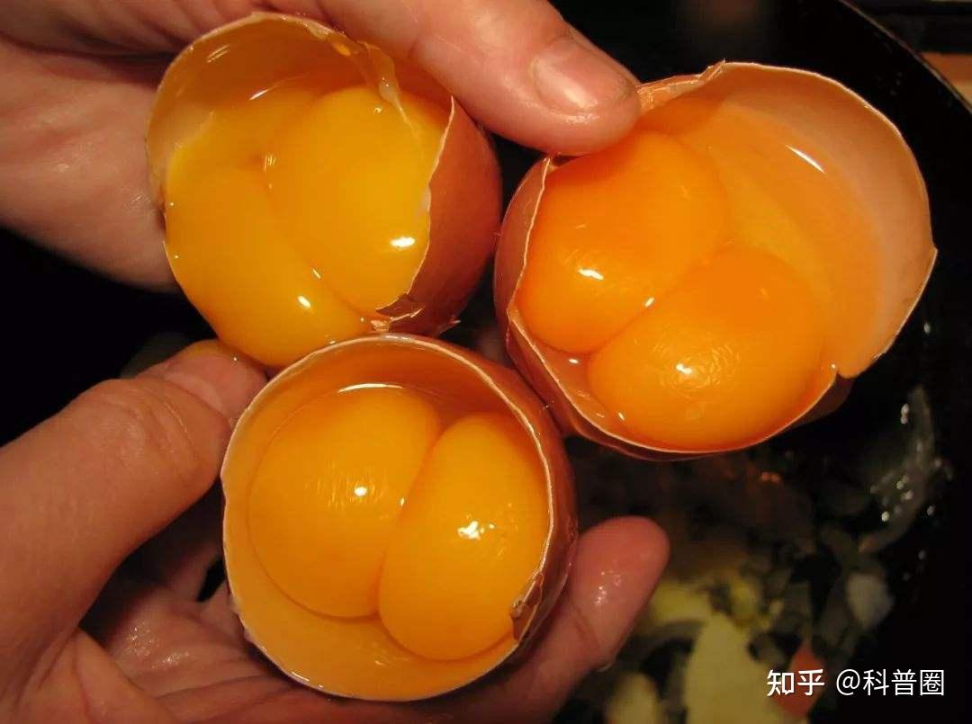 教你在家用鸡蛋做变蛋皮蛋，各个金黄流油，正适合年夜饭_哔哩哔哩 (゜-゜)つロ 干杯~-bilibili
