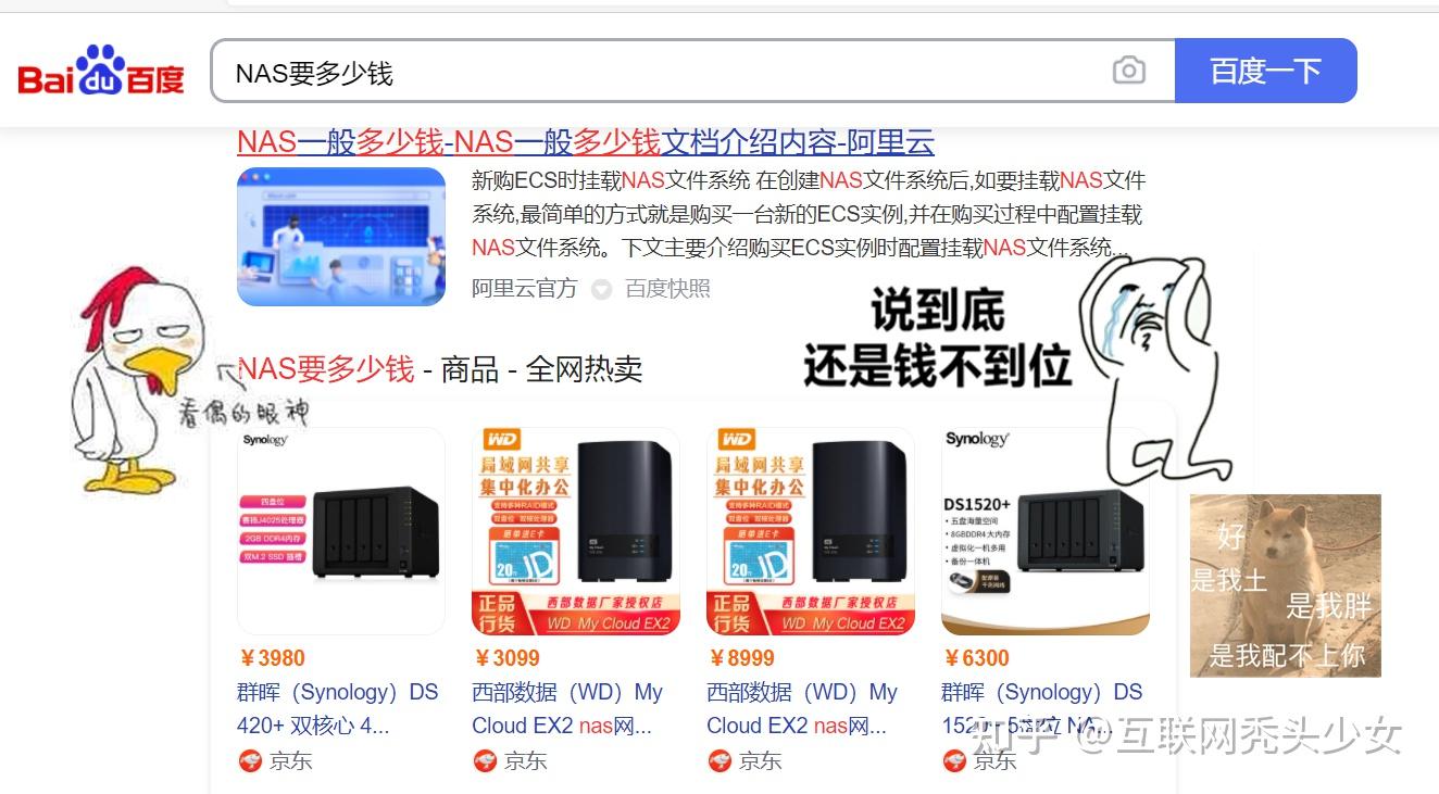 小白的NAS入门碎碎念,好像无意中安装了一个不得了的神仙套件…插图 小白的NAS入门碎碎念,好像无意中安装了一个不得了的神仙套件…插图