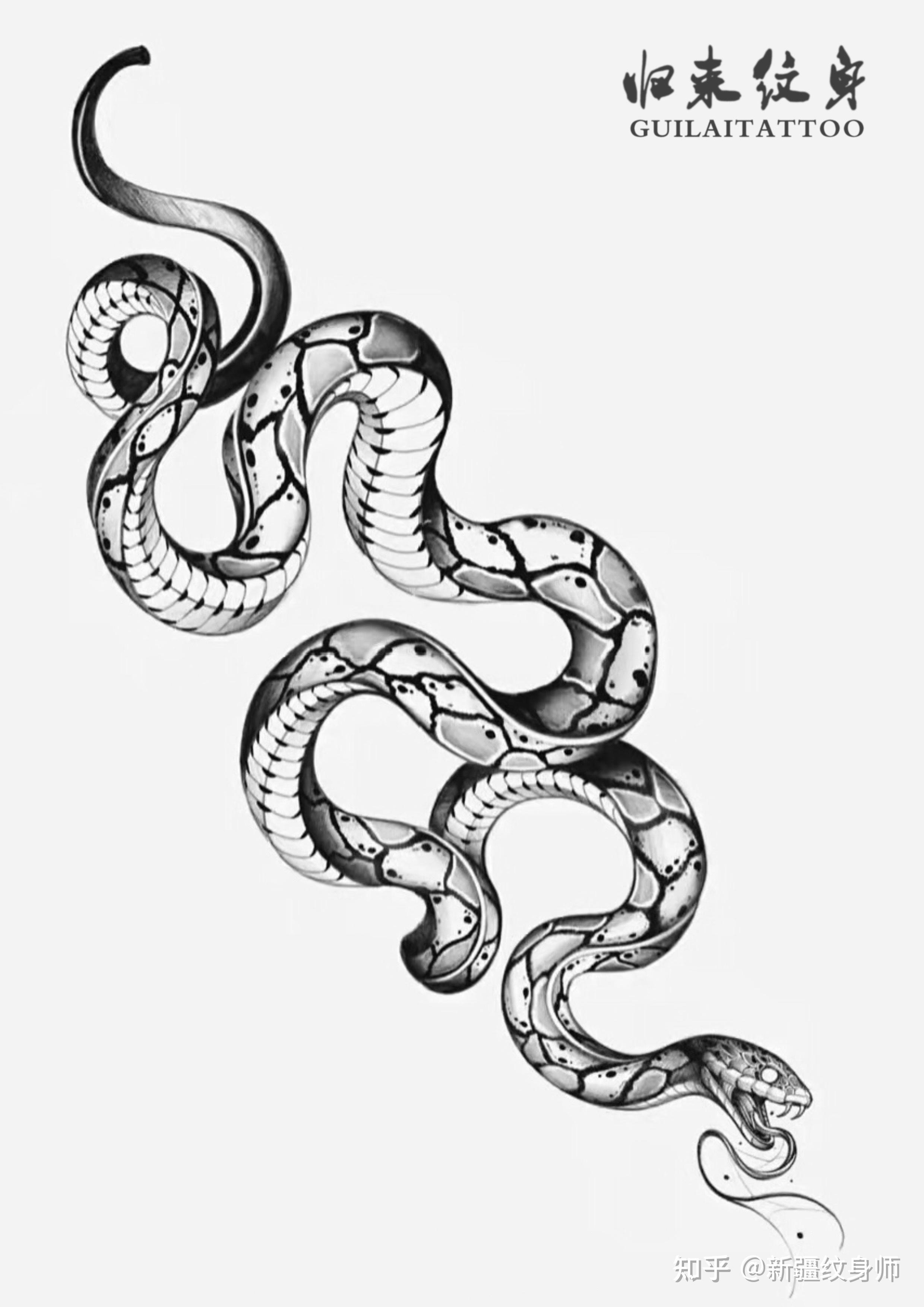 蛇骨纹身手稿图片