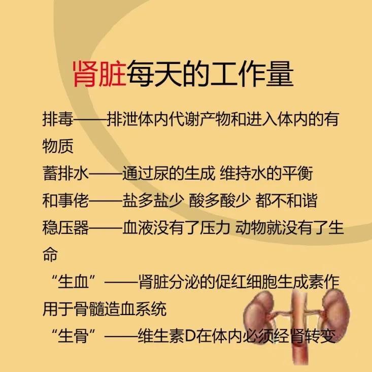 世界肾脏日保护肾才是重中之重别等来不及时才