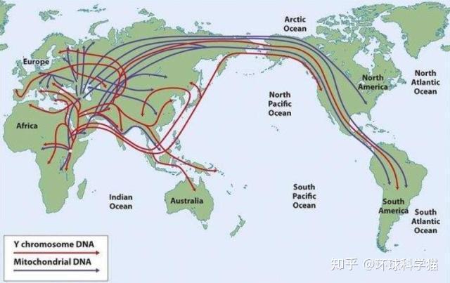 新证据人类发源地变了科学家摇篮不是中东而是非洲东北部