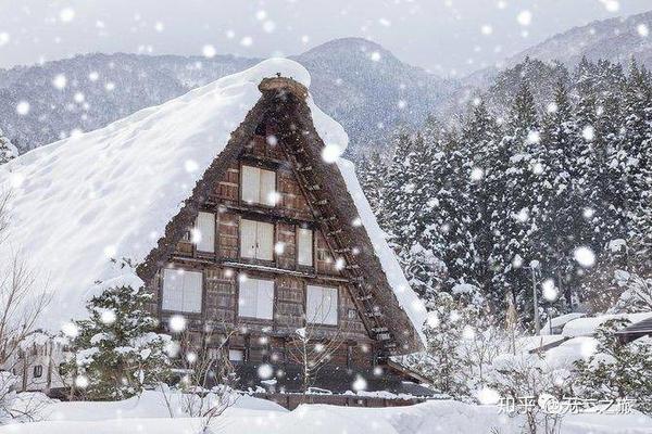 日本小众赏雪村落 藏着比北海道更美的冬天 知乎