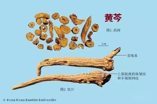 223种中药的鉴别图谱(彩图注释) - 知乎