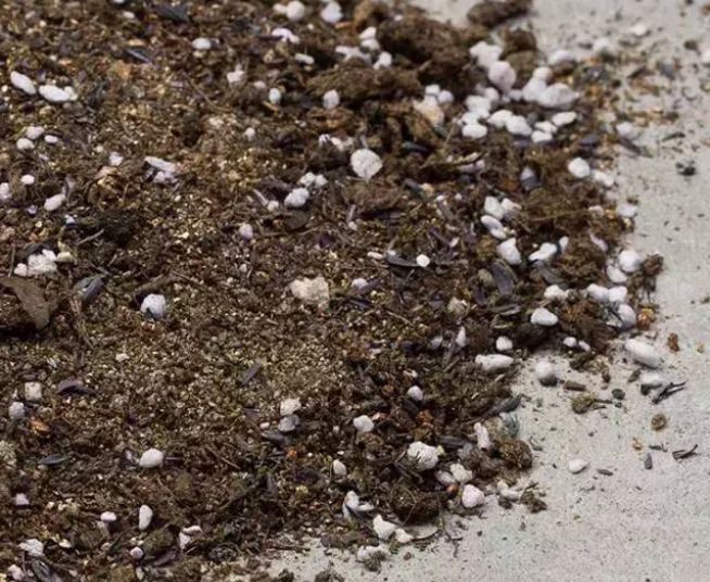 史上最全多肉植物种植土壤 知乎 史上最全多肉植物种植土壤 知乎
