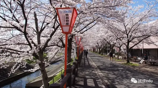 日本大学介绍 和歌山大学 一所 充满阳光 的大学 知乎