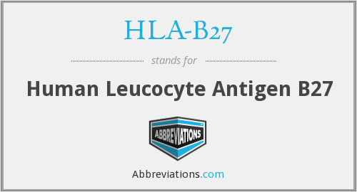 hla-b27,可以说的秘密