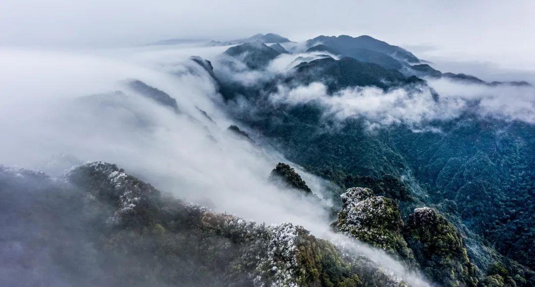 大明山雾松图片