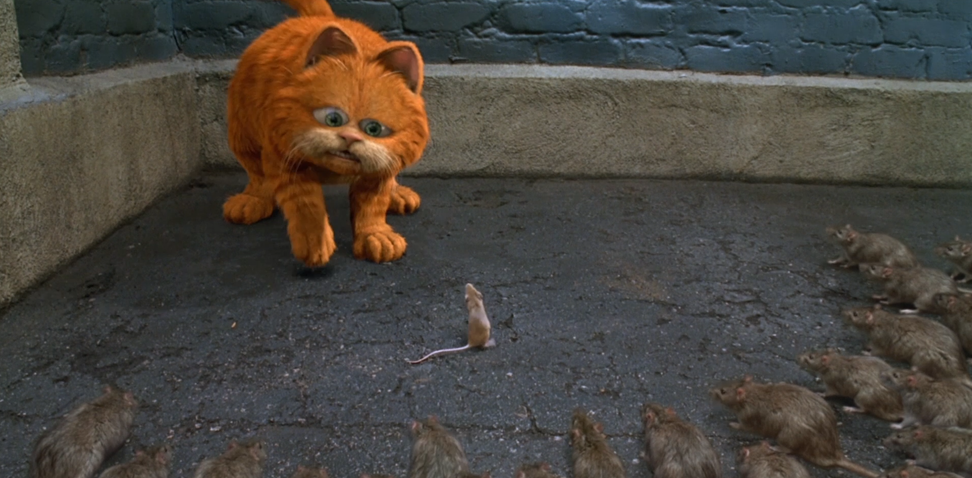 搞笑电影:大肥猫误入老鼠地盘被围攻,结果却发现他们是来报恩的