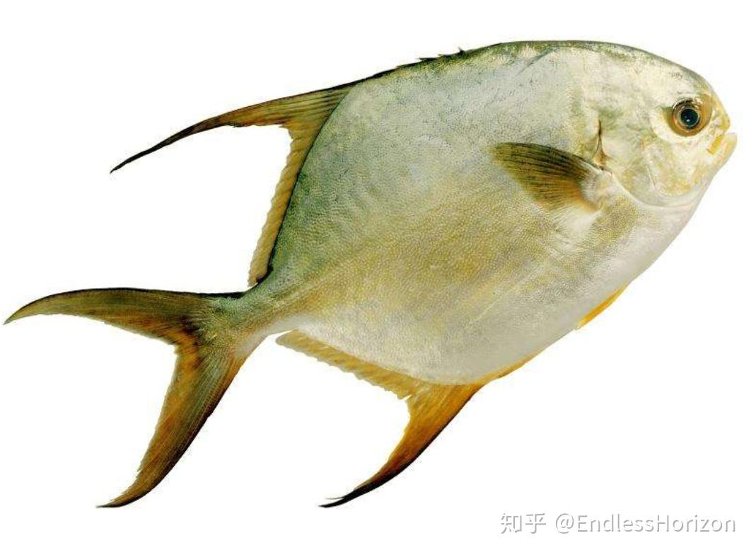 梦境之海，探索梦见鱼的深层含义与心理解析