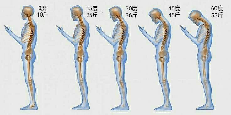 3个动作改善含胸驼背挺拔你的小身板儿