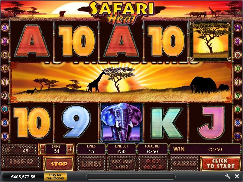 Safari Safari