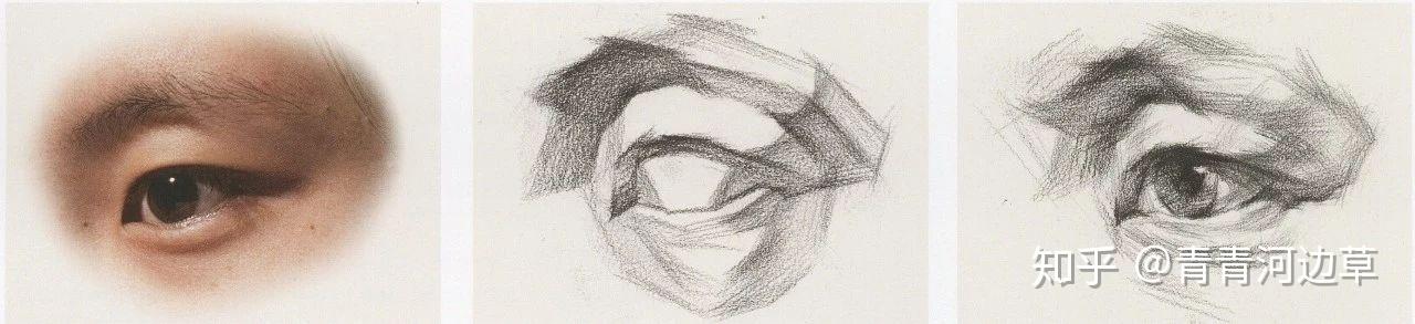 眼部结构及细分