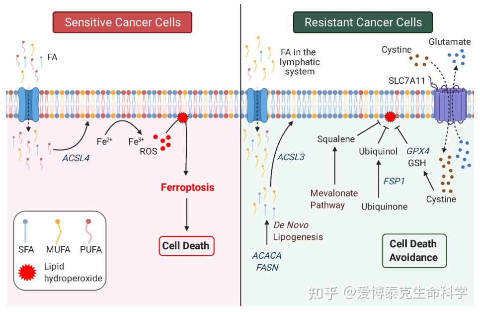 “9W+引用”牛文教你2022年肿瘤到底该研究点啥？（第二期） 知乎