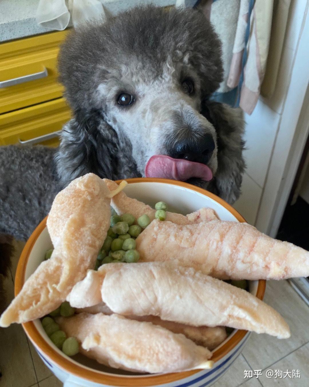 狗狗千万不能吃的食物,别让你的无知害了它! - 知乎