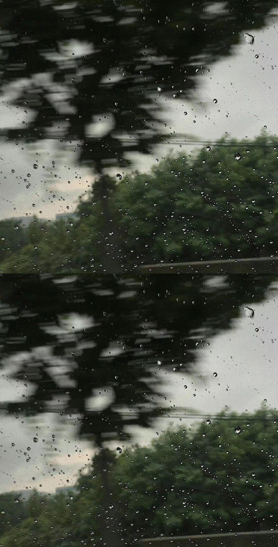 清冷的全面屏壁纸?