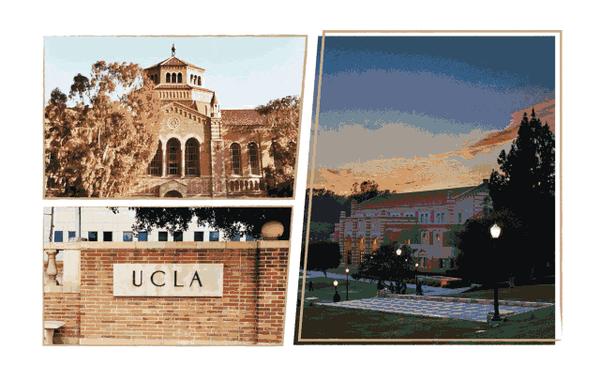 福布斯这10所院校的学历越来越值钱了文中有彩蛋