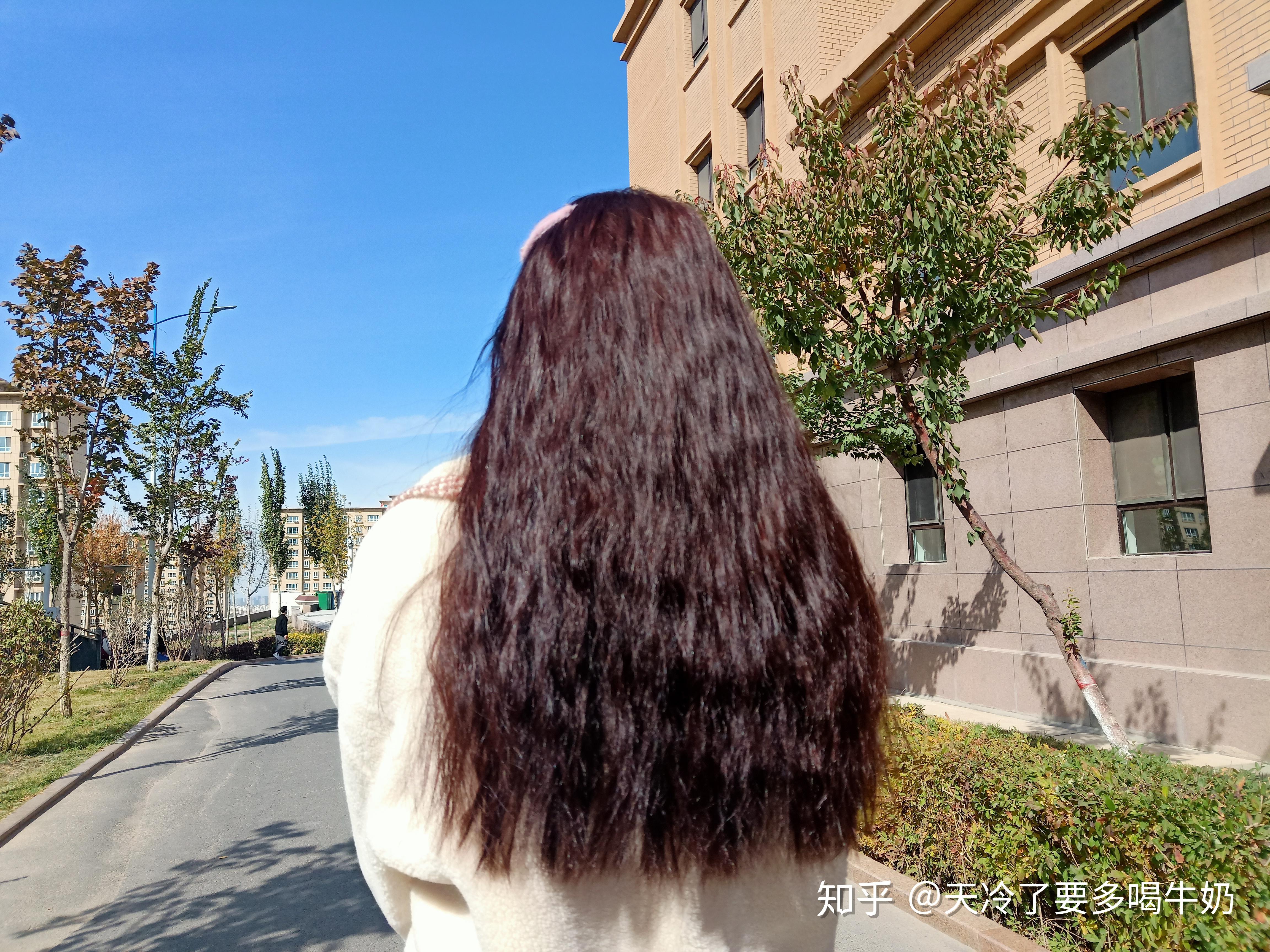 施华蔻可可棕色!推荐第一次染发的小可爱!