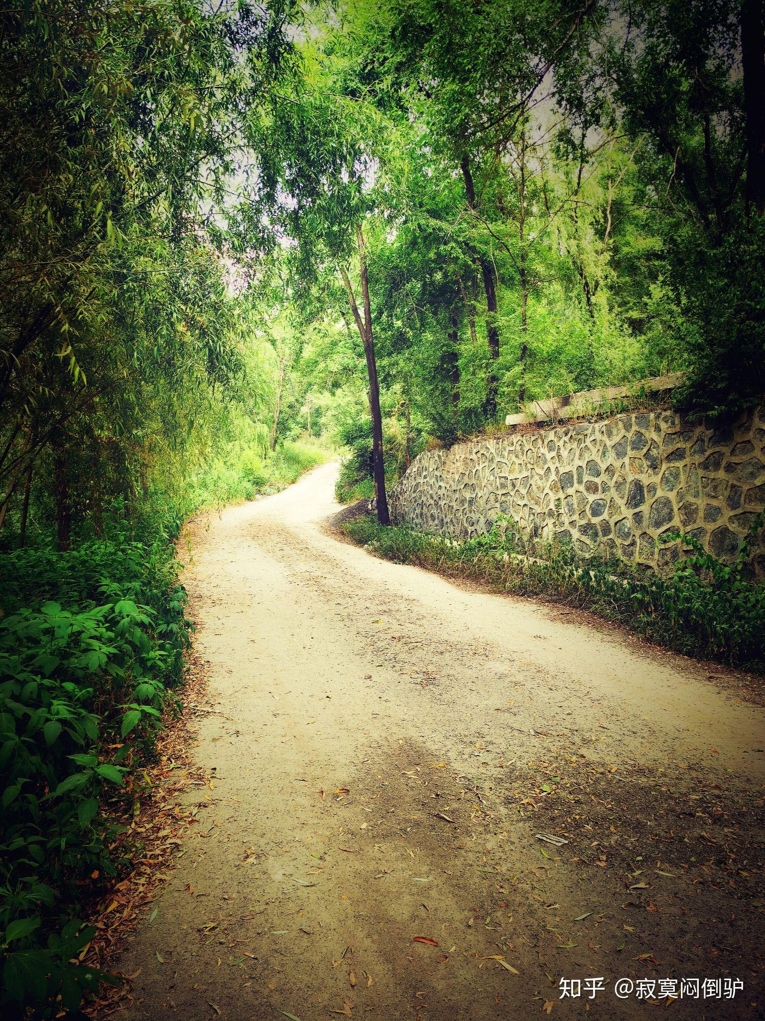 发几张手机拍的照片