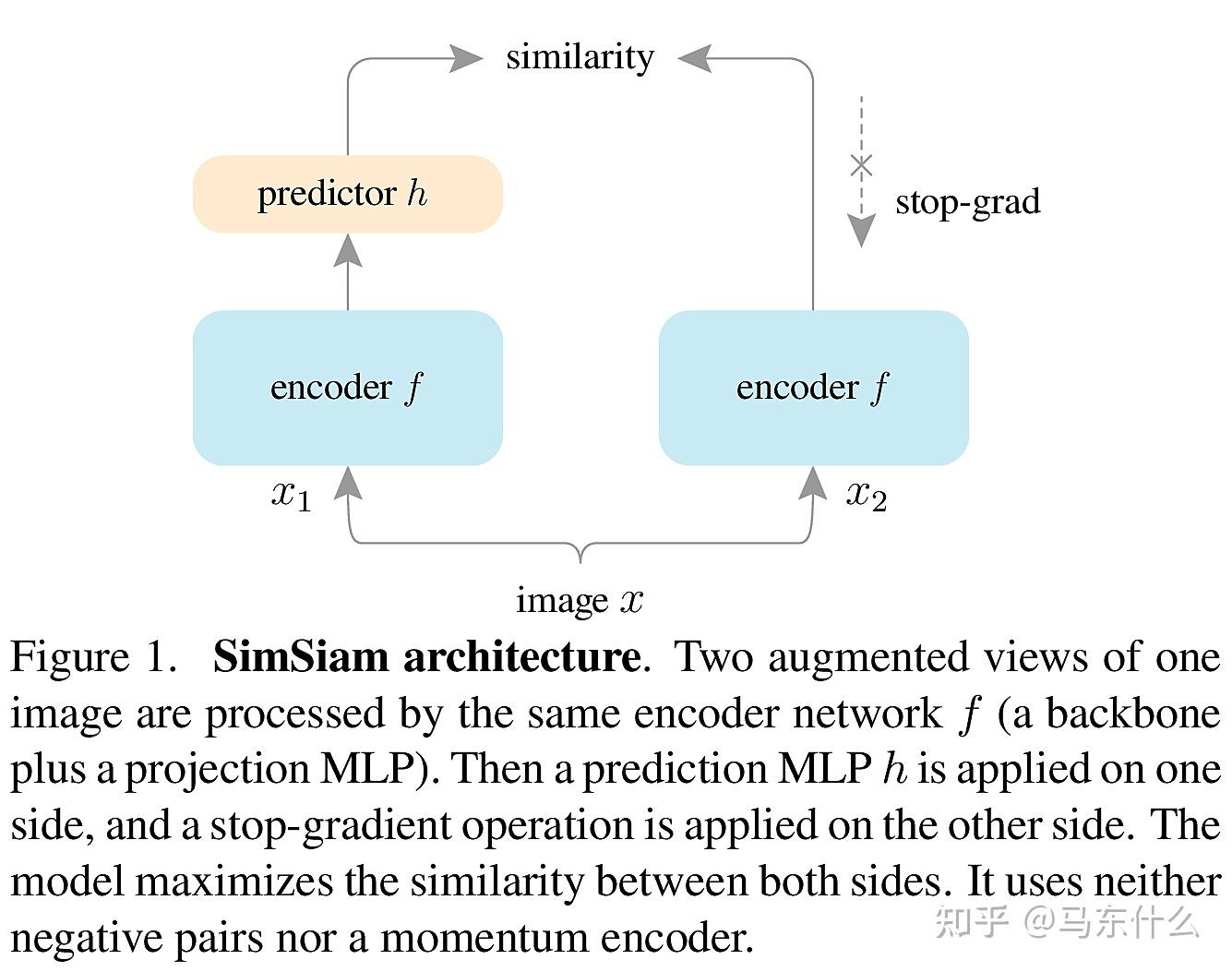 Exploring simple siamese representation learning 