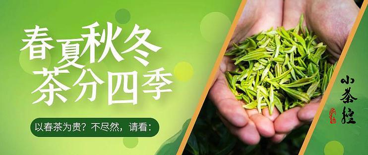 以春茶为贵 不同季节造就风味各异春冬秋夏茶叶的基本特点浅析 知乎