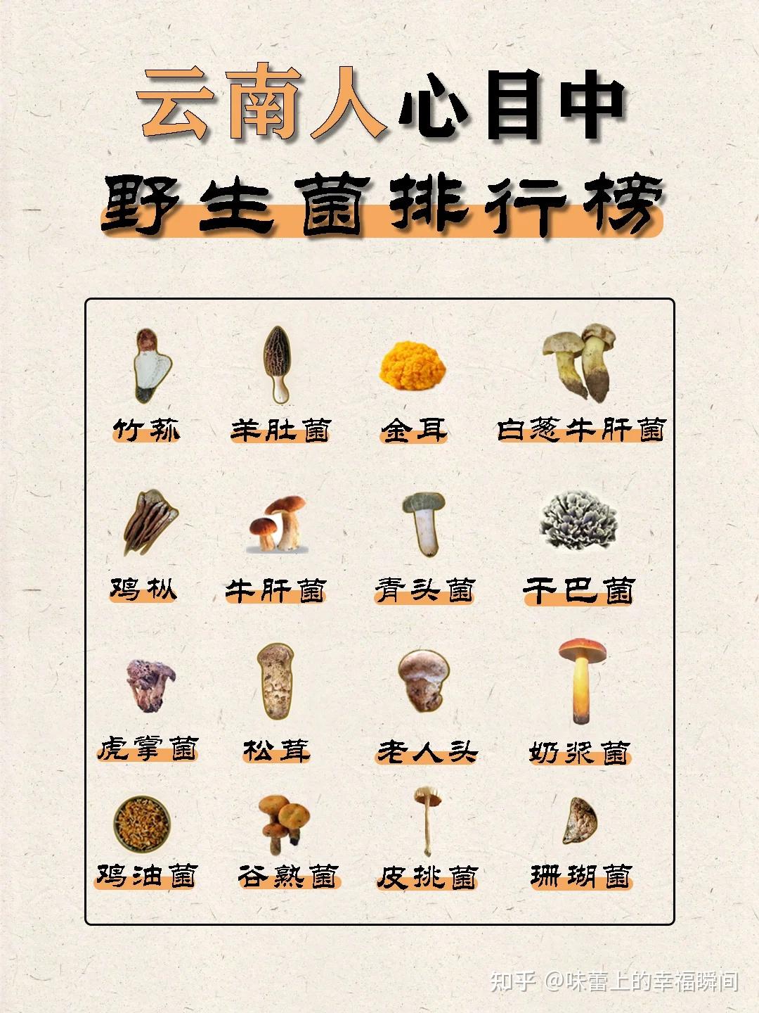 盘点云南人心目8种最好吃的菌类排行榜! - 知乎