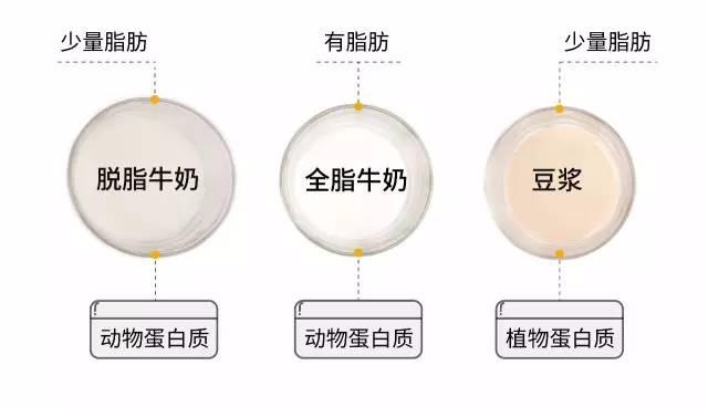 乳脂肪的作用,是增加牛奶的黏稠度和稳定性.