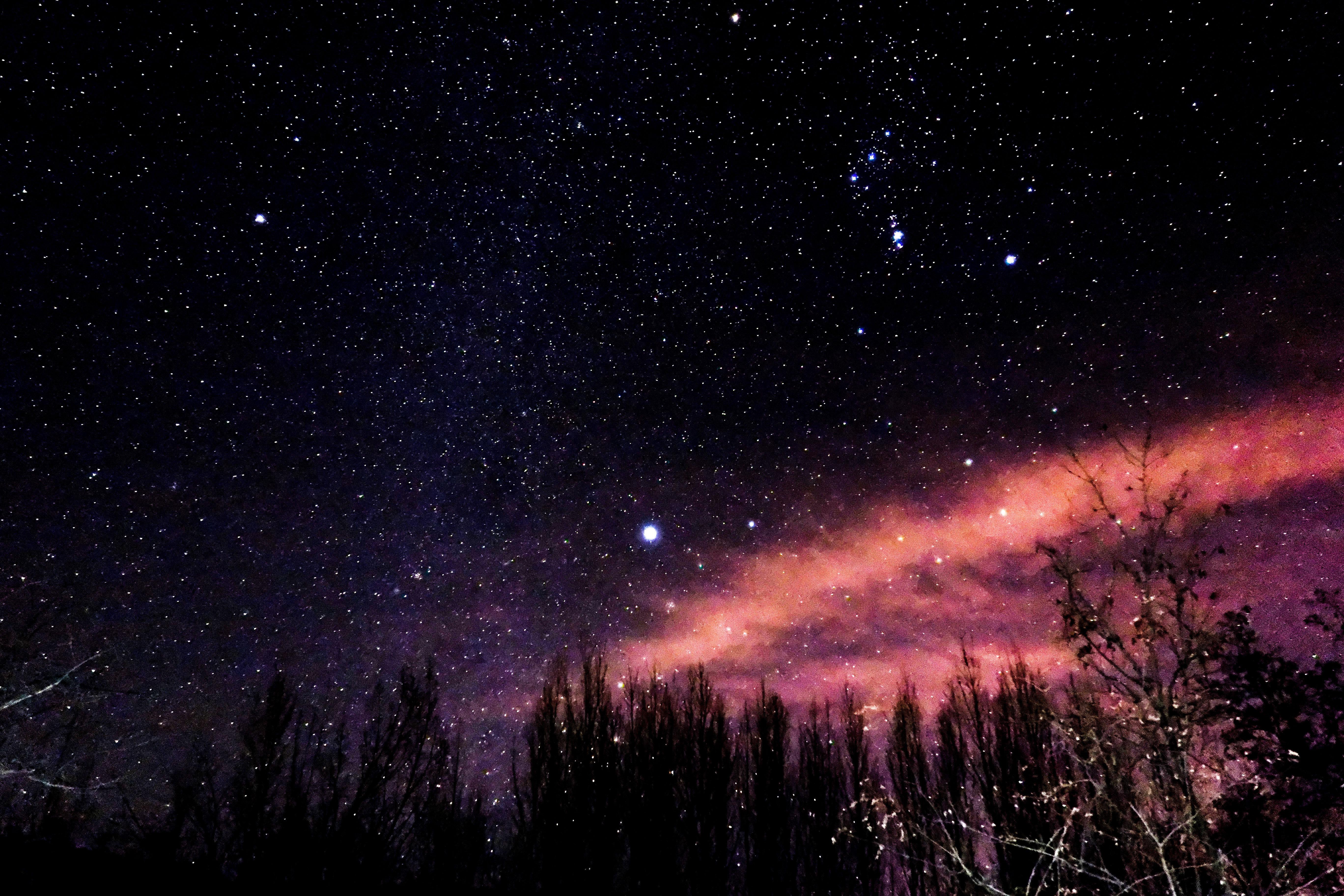 lumia950摄影效果和索尼黑卡rx100一代比如何