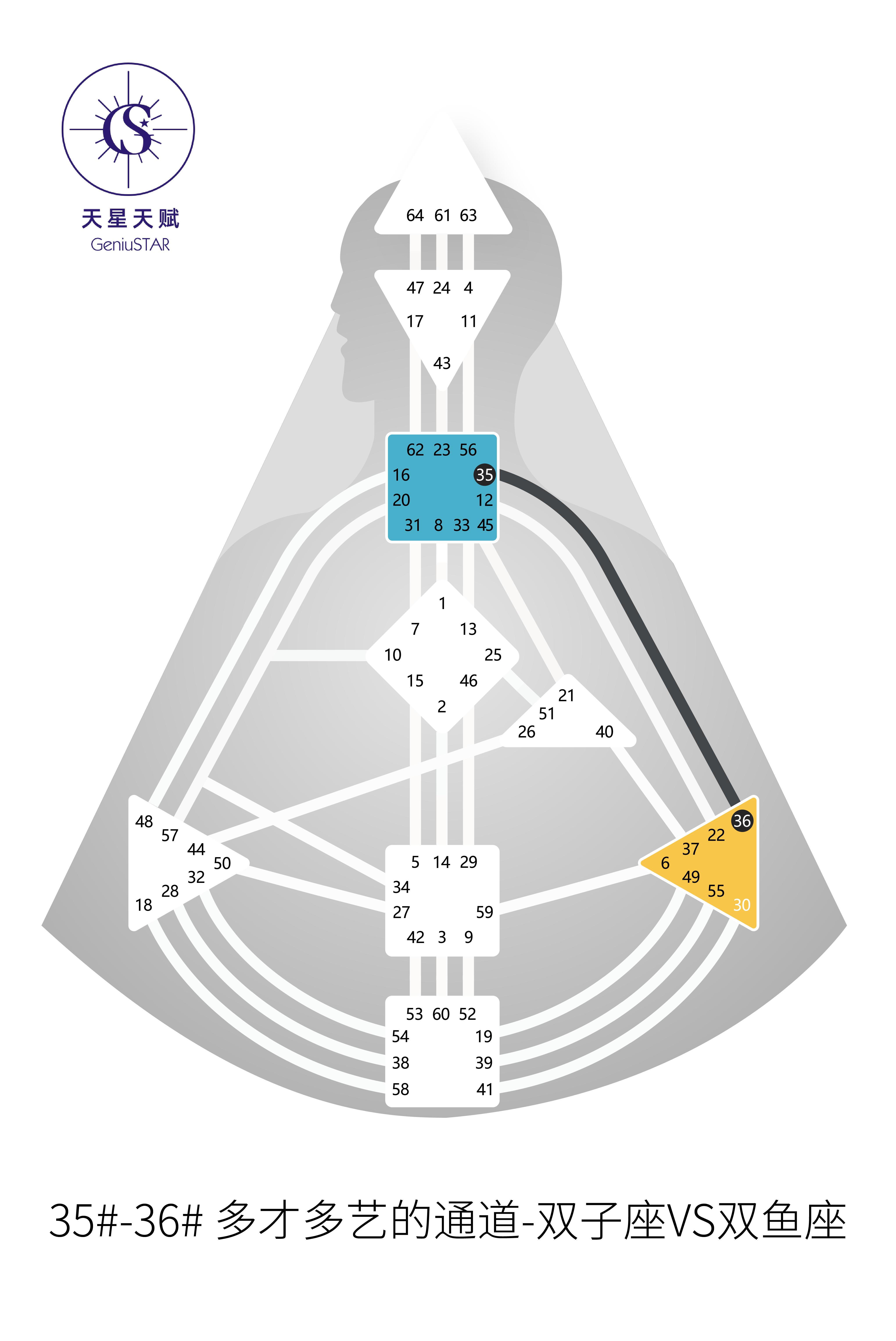 人类图第32条通道3536品牌思维的天赋