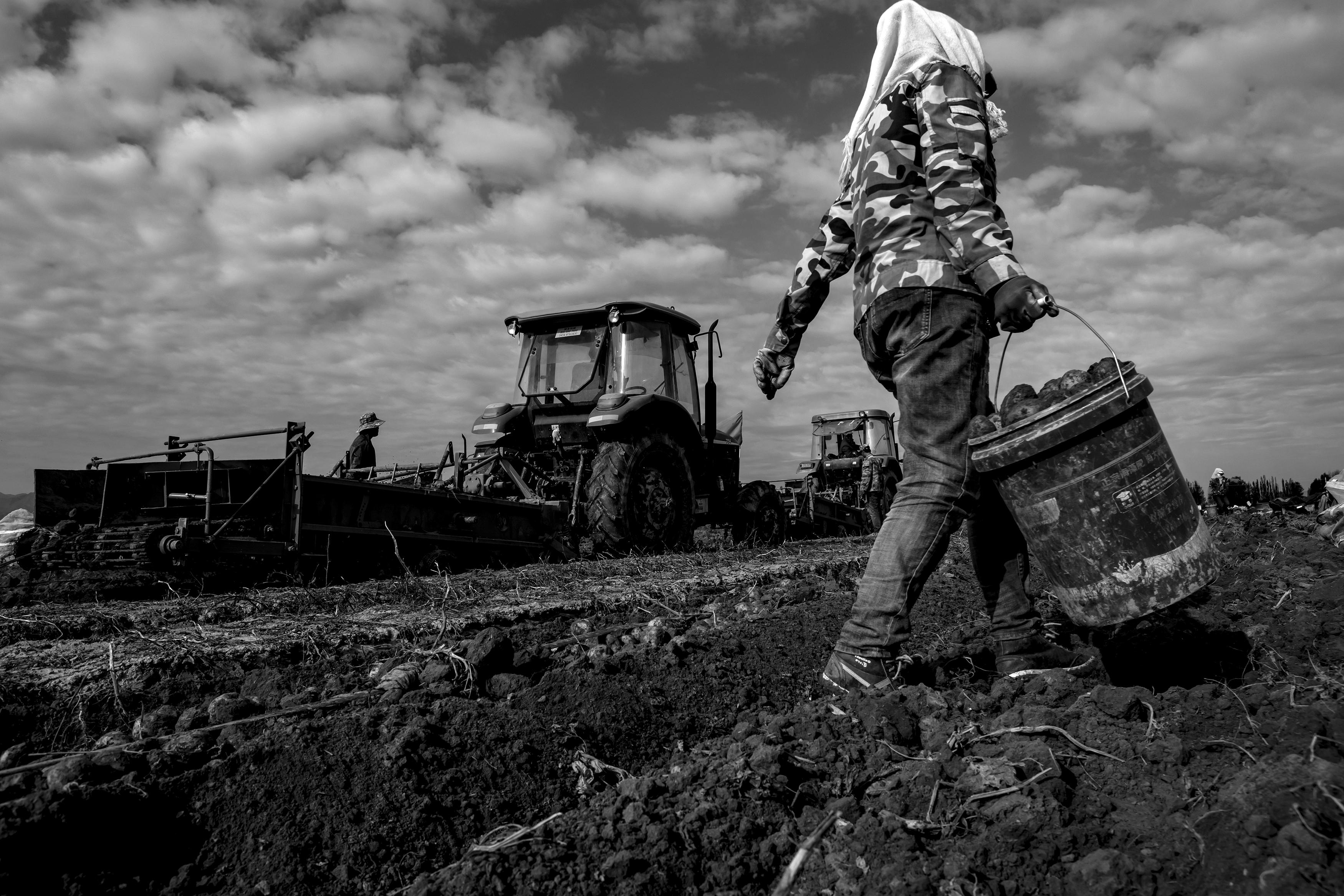 吕志俊河西女人第一届甘肃现代摄影艺术展览优秀摄影作品