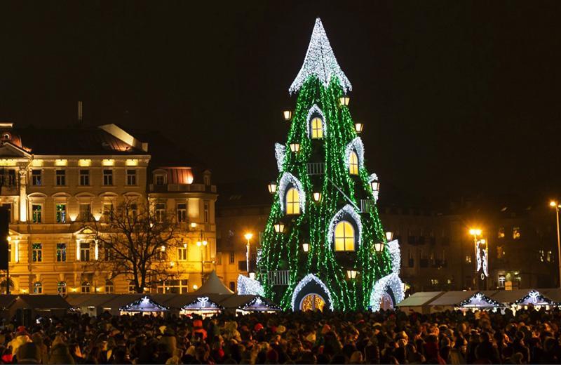 伦敦每年最受注视的圣诞树之背后的故事