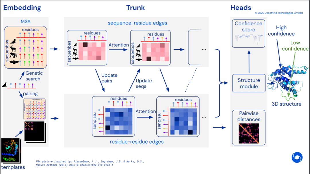 alphafold2从设计原理算法到应用