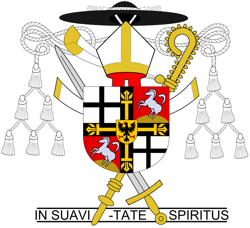 医院骑士团,圣若望骑士团,罗德骑士团,马耳他骑士团