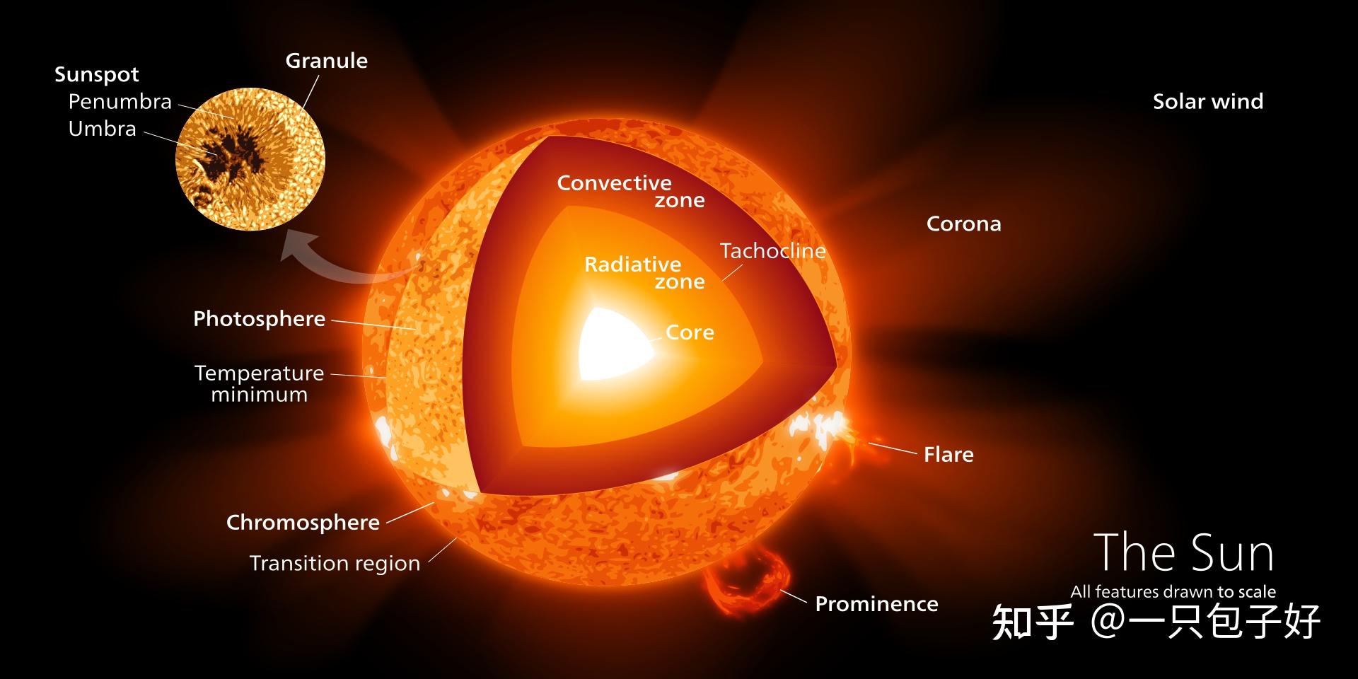 太陽ってどんな恒星？太陽の誕生や内部構造やフレア、探査機なども紹介 - 宇宙探検隊