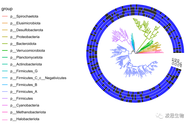 Nature Biotechnology | 新技术整合取得宏基因组MAGs研究新突破 - 知乎