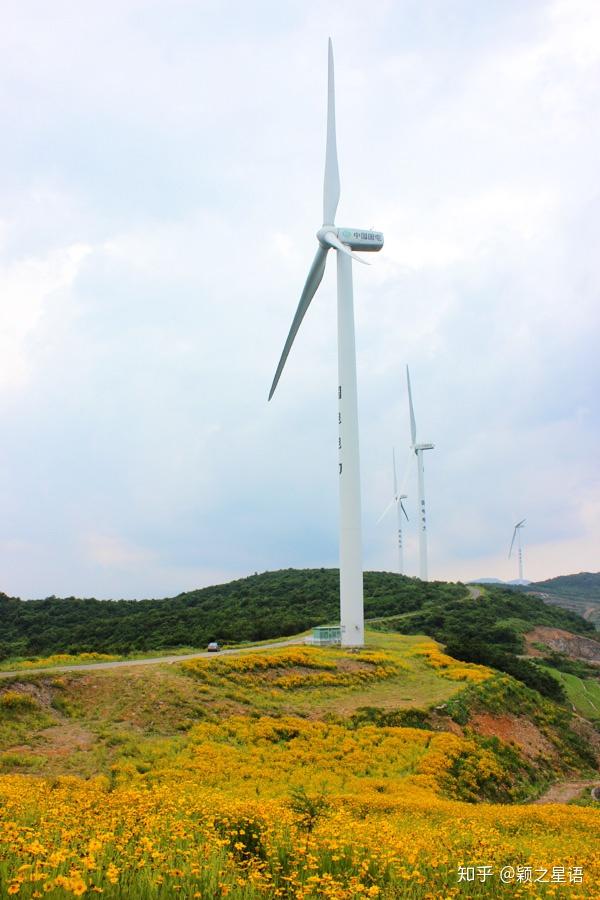 宁波最美风车公路,美景再现