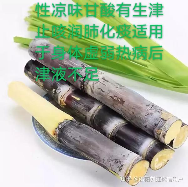 中医病机学说:津液代谢失常〈44〉 知乎