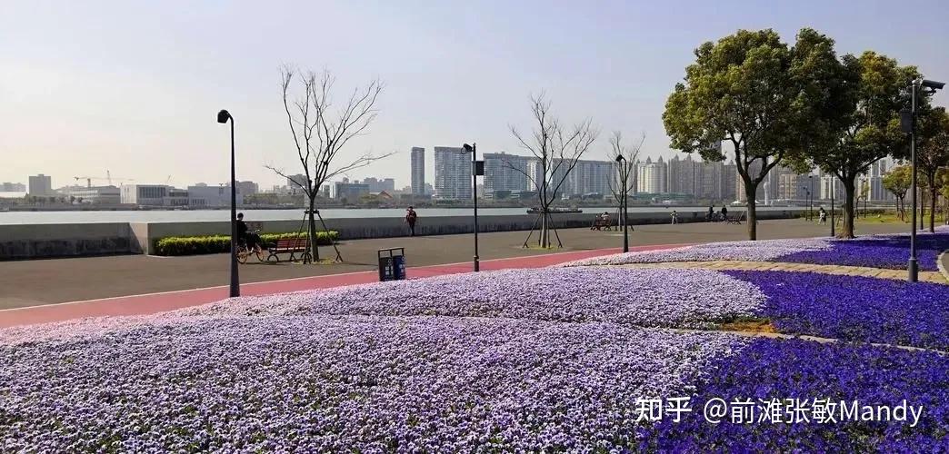 一看就会(前滩国际商务区开工时间)前滩国际商务区开工仪式,(图62) 一看就会(前滩国际商务区开工时间)前滩国际商务区开工仪式,(图62)