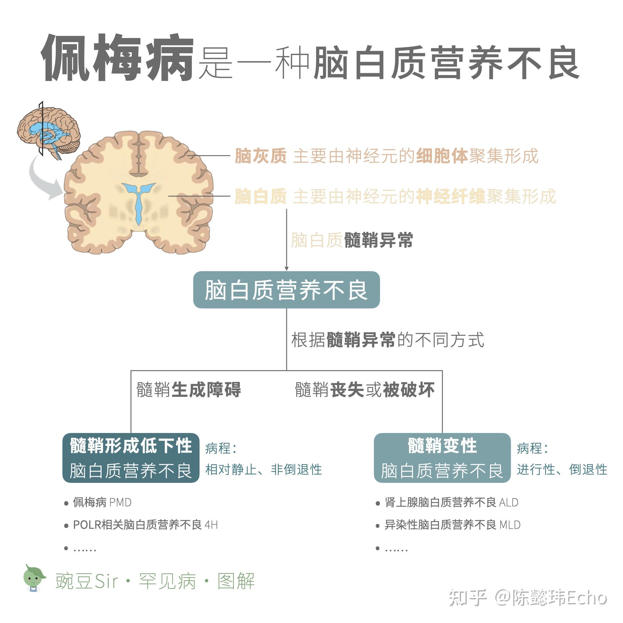 佩梅病图片