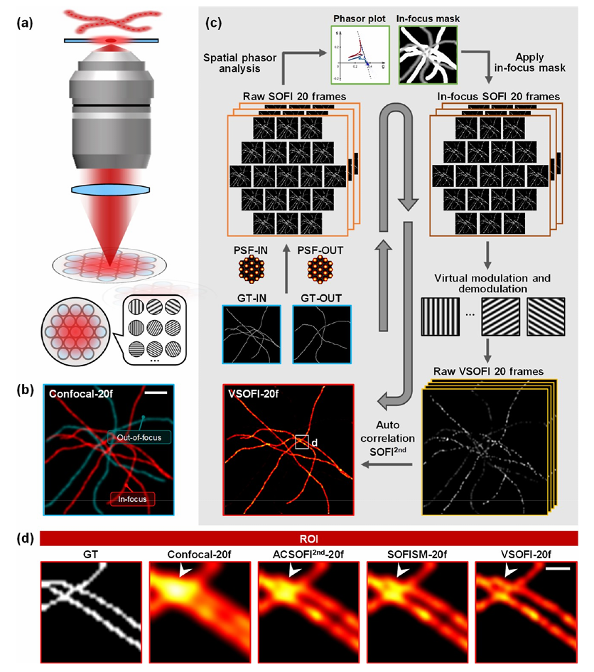 浙江大学匡翠方教授、韩于冰团队最新ACS Photonics:基于虚拟调制的高通量荧光涨落超分辨成像! - 知乎