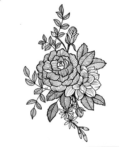 美术蛙-黑白线稿白描插画,细节控福音,植物插画