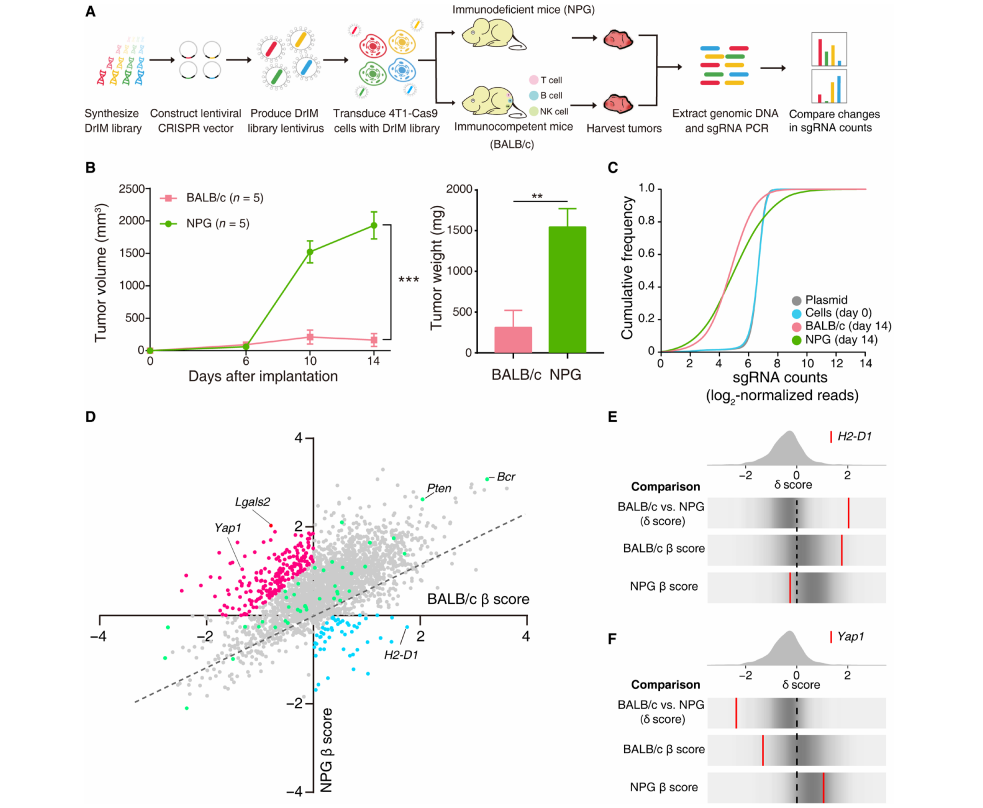 Science Advances最新项目文章 单细胞测序助力乳腺癌免疫治疗新靶点发现 知乎