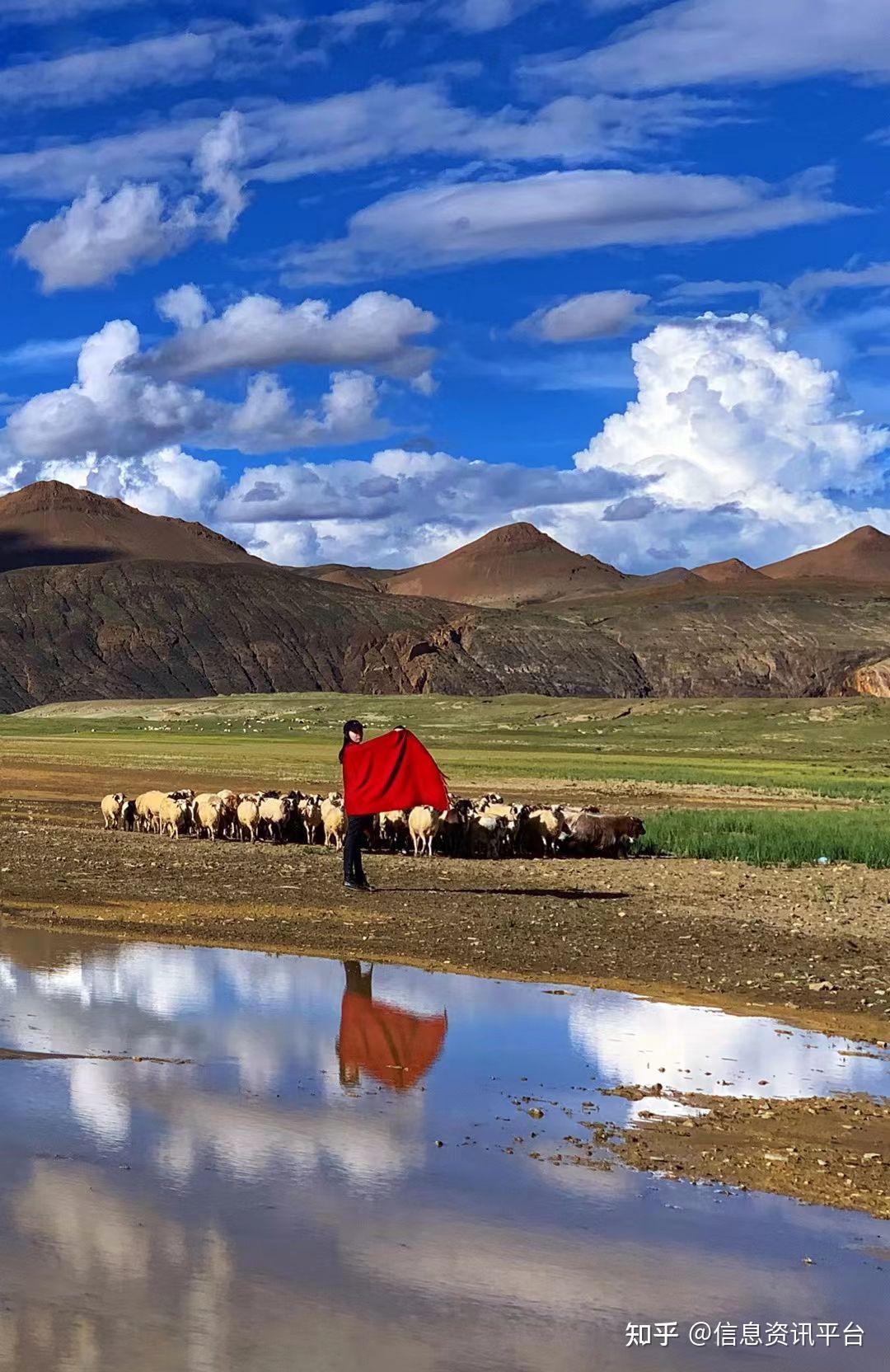 高级记者杨兆波著名摄影家郭伟是雪域高原的雄鹰