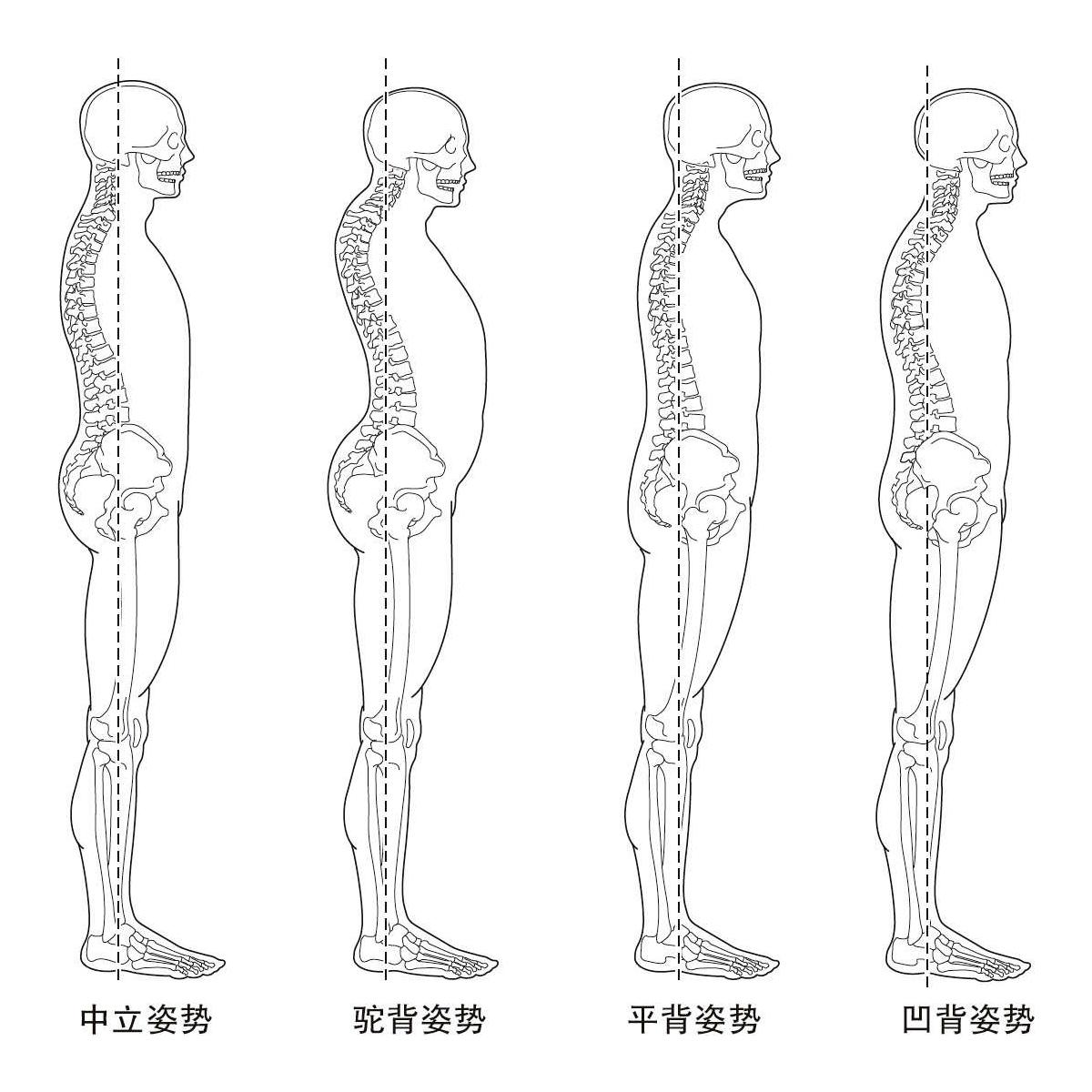 提升运动表现的日常练习Ⅰ - 知乎