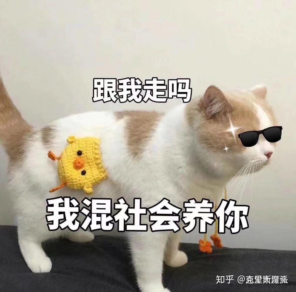 v2-afe59ffe0a78340b524937a5a758dad3_r.jpg