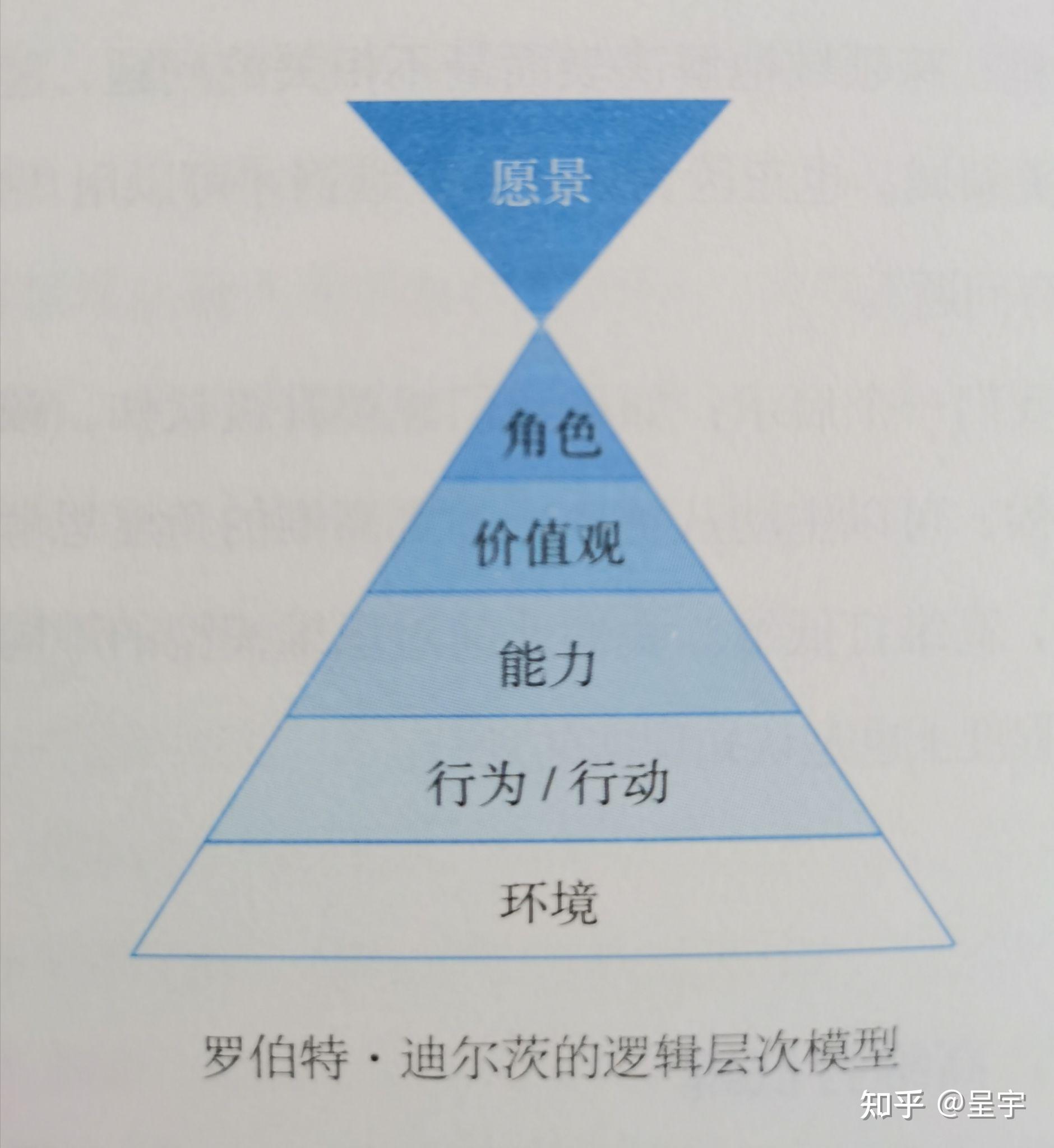 层次模型的实例图片