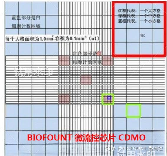 血球计数板简介 - 知乎
