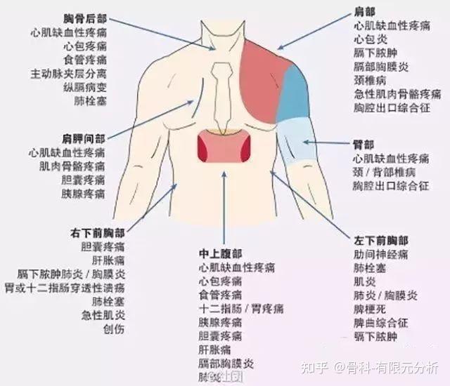 心脏听诊01承接医学有限元分析项目委托颈椎