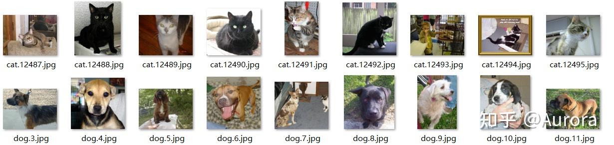 【GoogLeNet 实现kaggle猫狗图片分类】完整流程 | Pytorch 代码 - 知乎