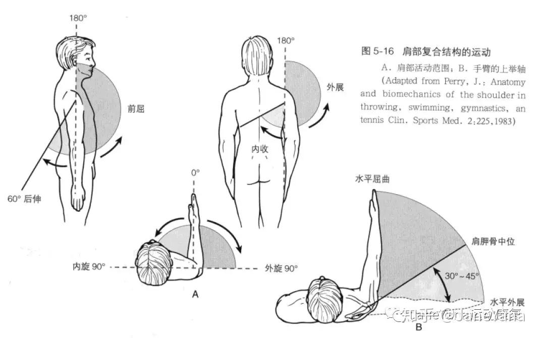 2,肌肉力量检查检查力量过程中观察,感受,反馈是否有疼痛,麻木,无力等