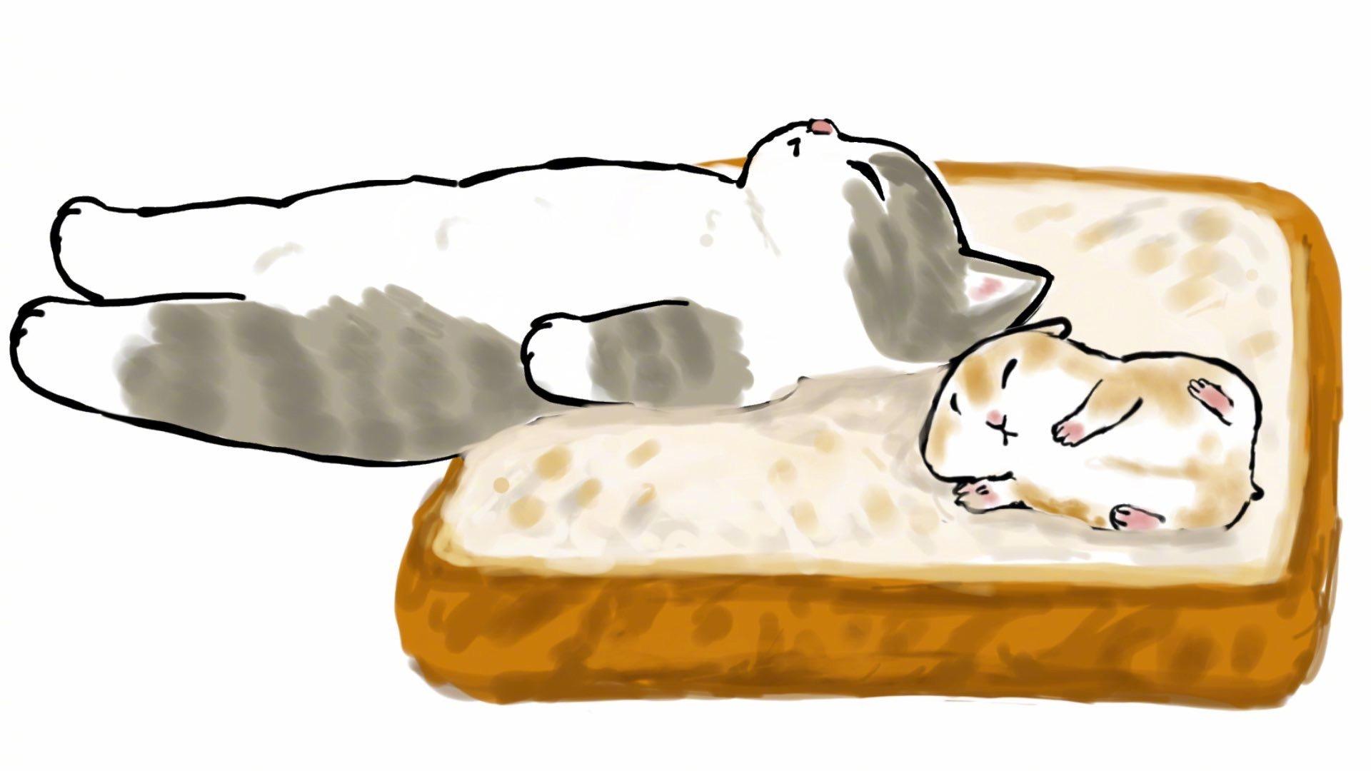 你收藏了哪些超治愈的图片